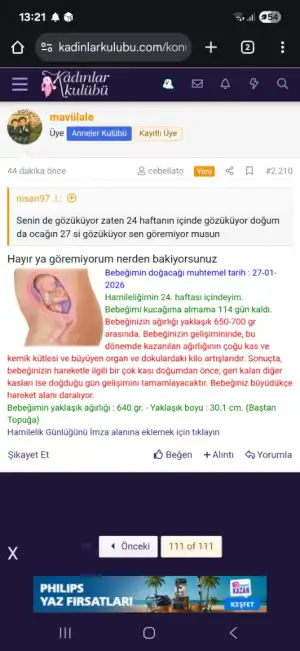 7266.webp