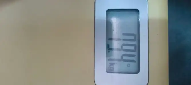 1000039566.webp