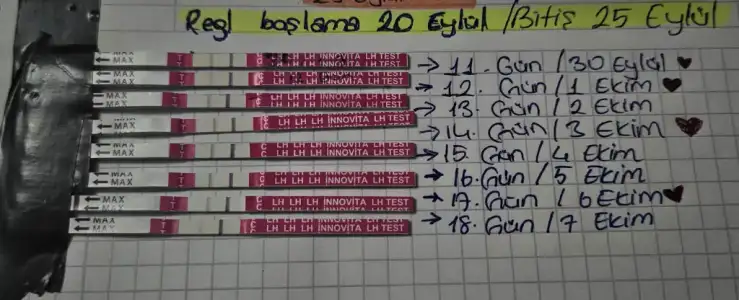 1000114711.webp