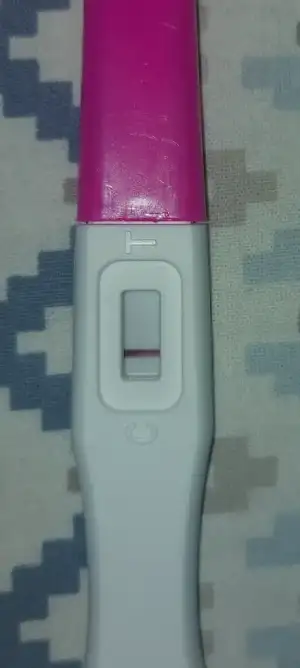 Screenshot_20251008_231455_Gallery.webp