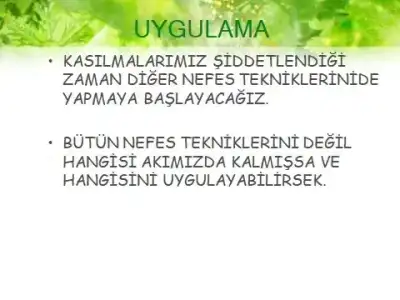 f0f62d81-965a-47cd-b96c-55ba70134140.webp