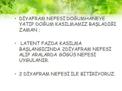 becd6ee2-a00f-4e75-af47-e96b30deadb5.webp
