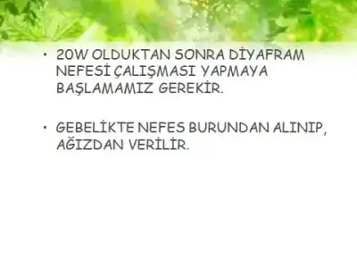 5aac5b01-1ed6-4762-bc05-1ee7a974fe36.webp