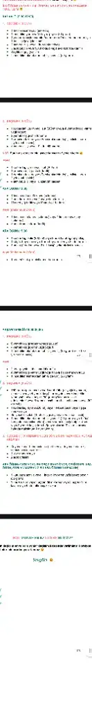 2978.webp