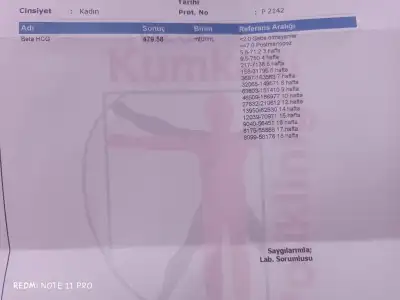 17603505007994502645578041851885.webp