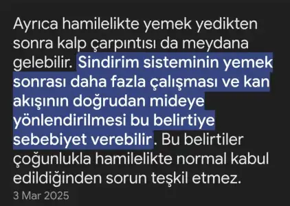 1000010652.webp