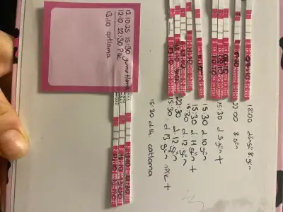 image.webp
