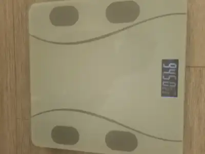 17606853984421208549631055220207.webp