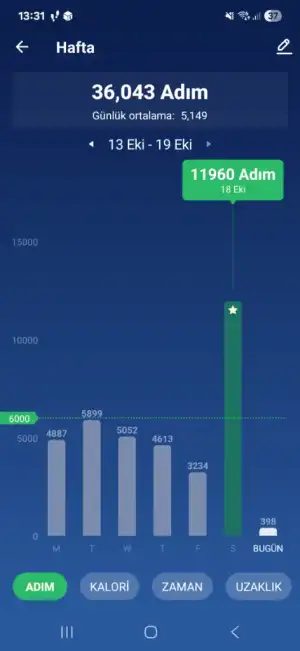 Screenshot_20251019_133104_Pedometer Step Counter.webp