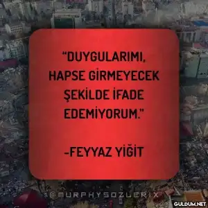 1000166207.webp
