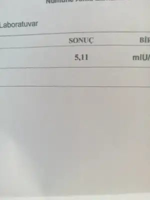 17612843162912633783822823510848.webp