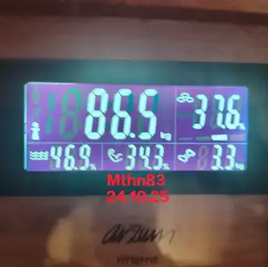 1000175100.webp