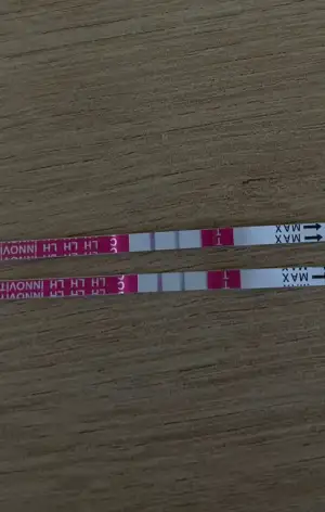 WhatsApp Image 2025-10-27 at 10.31.07.webp