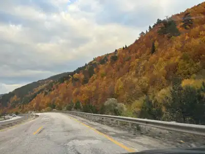 ıl2.webp