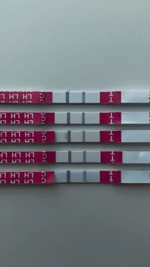 CF4381E9-9B14-43D7-8A2C-2F60A9CDC464.webp CF4381E9-9B14-43D7-8A2C-2F60A9CDC464.webp