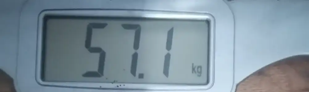 IMG_20251031_070819.webp IMG_20251031_070819.webp