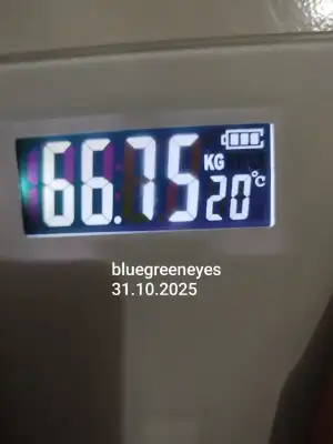 1000085634.webp 1000085634.webp