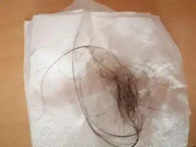 photo_2025-11-25_19-30-09 (4).webp