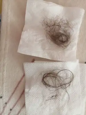 photo_2025-11-25_19-30-10 (2).webp