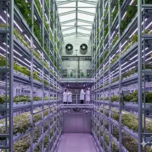 Şehirde Yükselen Yeşil; Dikey Tarımın Geleceği ve Yaşama Dokunan Etkileri!