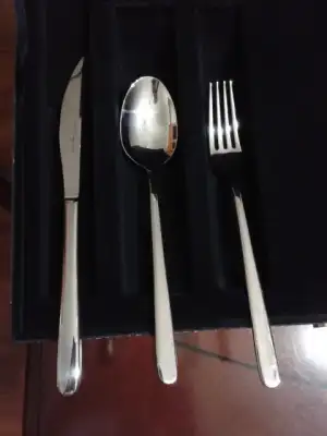 $g&#252;nl&#252;k &#231;atal ka&#351;&#305;k.webp