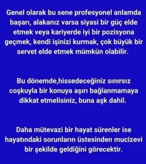 yıllık27 (10).webp