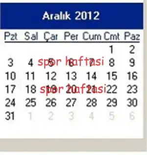$aral&#305;k.webp