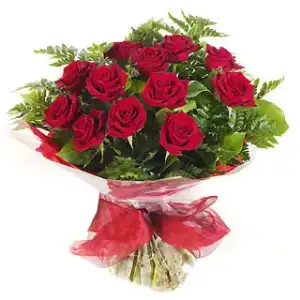 $3988[1].webp