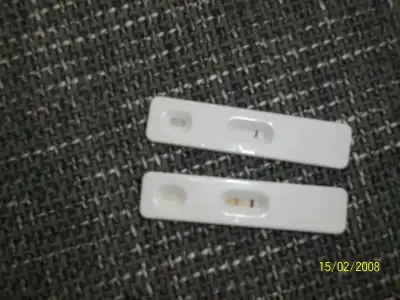 $100_0644.webp $100_0644.webp