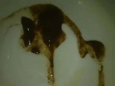 $271120126514.webp