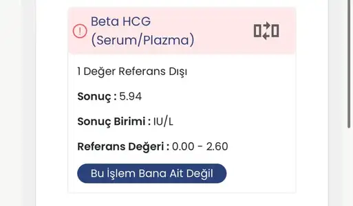 IMG_7029.webp