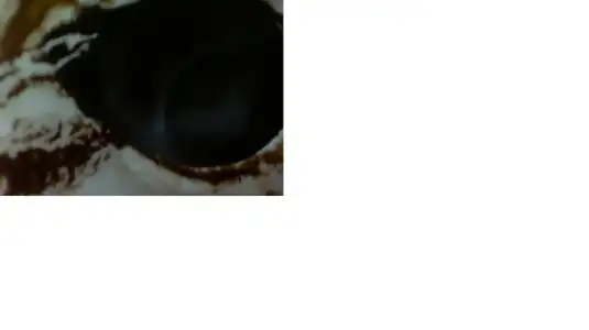 $333.webp