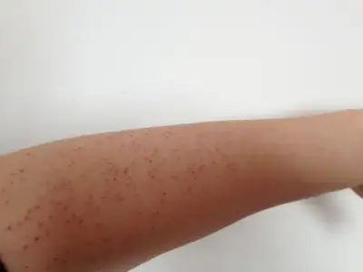 $foto&#287;raf (4).webp