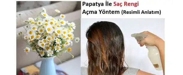 papatya_sac_rengi_acar_mi.webp