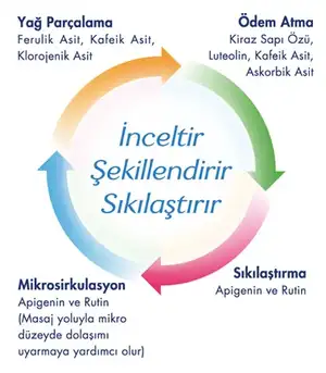 inceltici.webp