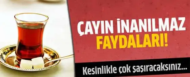cayin_faydalari.webp