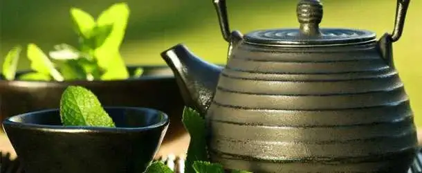 biberiye_cayi_yag_yakma_zayiflama.webp