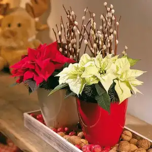 $4-homedit.webp