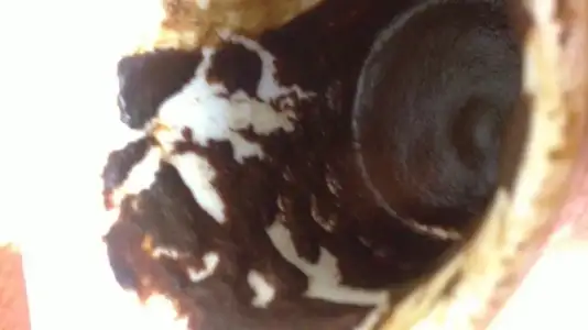 $10122012260.webp
