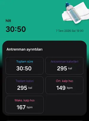 53791.webp