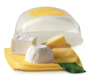 $TUPPERWARE-KUCUK-PEYNIR-DUNYASI__43983219_0.webp