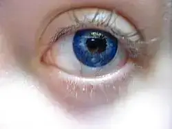 $color tones dark blue dsc00756ew.webp