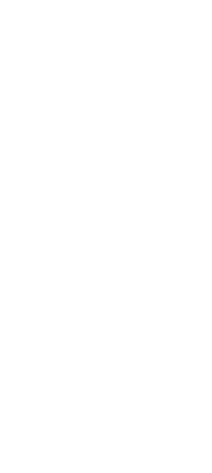 65725.webp