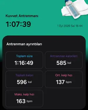 77250.webp
