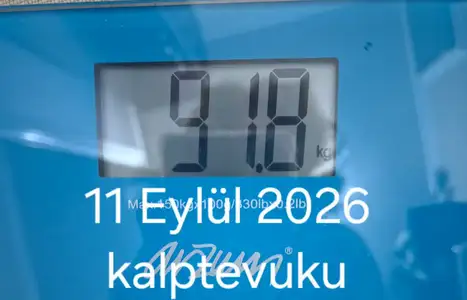 31532.webp