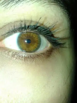 $20121214_103224.webp