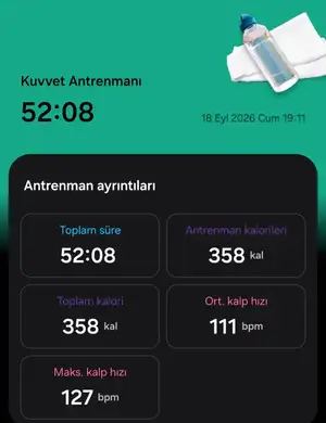 81084.webp