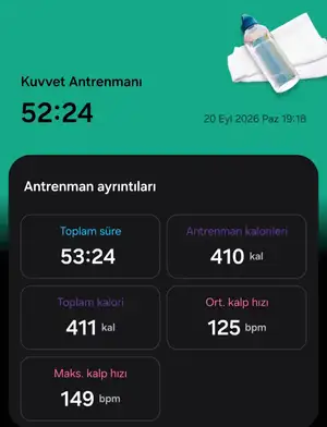 81480.webp