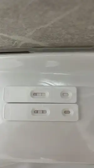 C1B831F7-33F3-483B-98E1-F30AB85AB3BC.webp