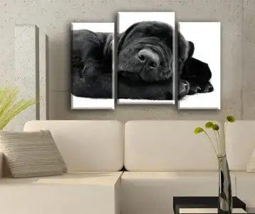 $sembol_tablo (14).webp